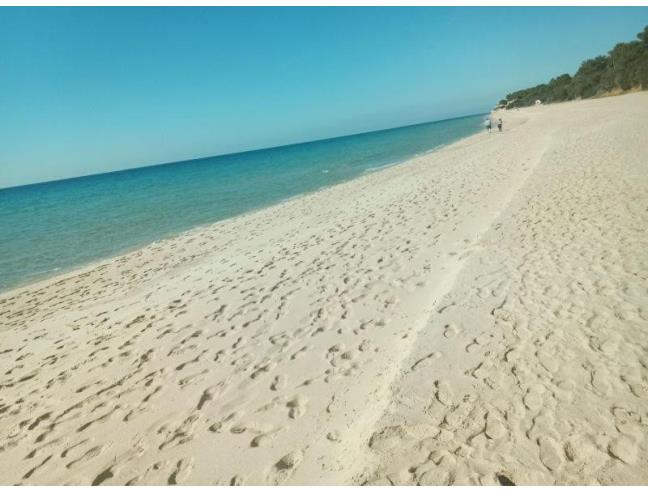 Anteprima foto 4 - Affitto Villa Vacanze da Privato a Pula - Santa Margherita