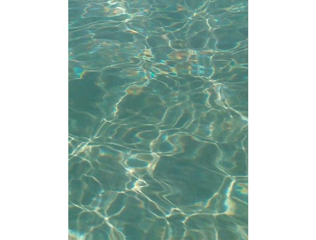 Anteprima foto 7 - Affitto Villa Vacanze da Privato a Pulsano - Bosco Caggione