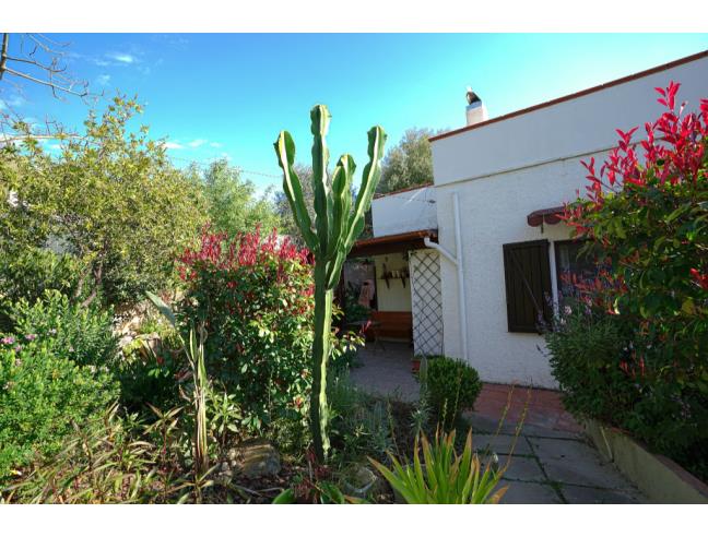 Anteprima foto 7 - Affitto Villa Vacanze da Privato a Quartu Sant'Elena (Cagliari)
