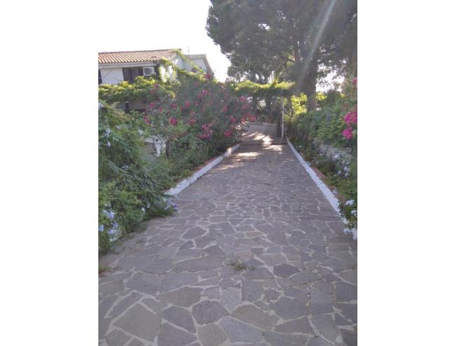 Anteprima foto 5 - Affitto Villa Vacanze da Privato a Ricadi - Capo Vaticano