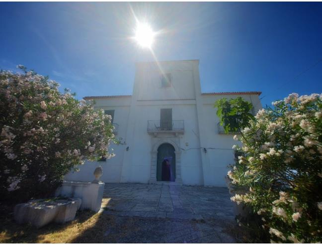 Anteprima foto 7 - Affitto Villa Vacanze da Privato a Rodi Garganico (Foggia)