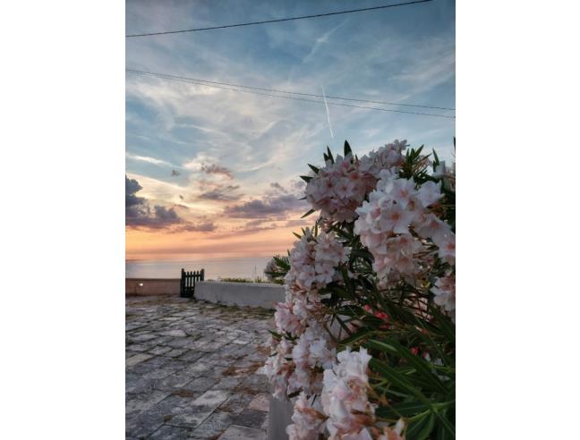 Anteprima foto 8 - Affitto Villa Vacanze da Privato a Rodi Garganico (Foggia)