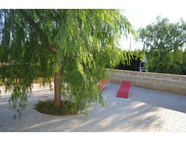 Anteprima foto 8 - Affitto Villa Vacanze da Privato a Salve - Torre Pali