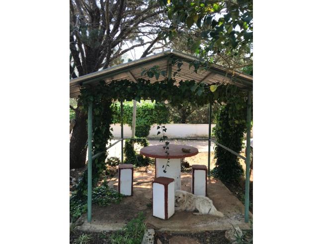 Anteprima foto 2 - Affitto Villa Vacanze da Privato a San Michele Salentino (Brindisi)