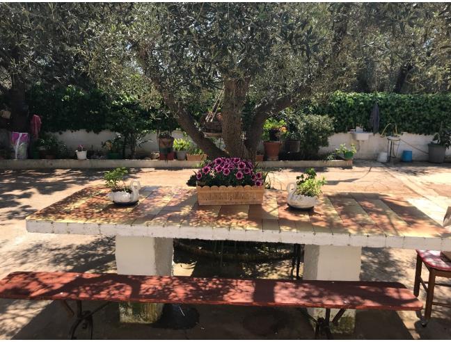 Anteprima foto 6 - Affitto Villa Vacanze da Privato a San Michele Salentino (Brindisi)