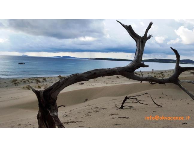 Anteprima foto 7 - Affitto Villa Vacanze da Privato a Sant'Anna Arresi (Sud Sardegna)