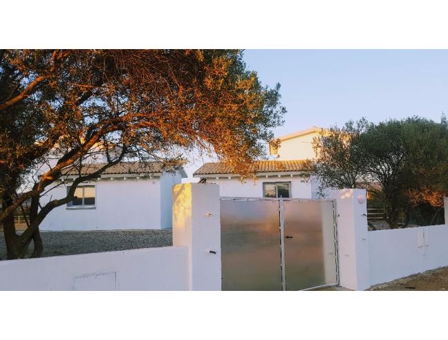 Anteprima foto 7 - Affitto Villa Vacanze da Privato a Sant'Anna Arresi (Sud Sardegna)