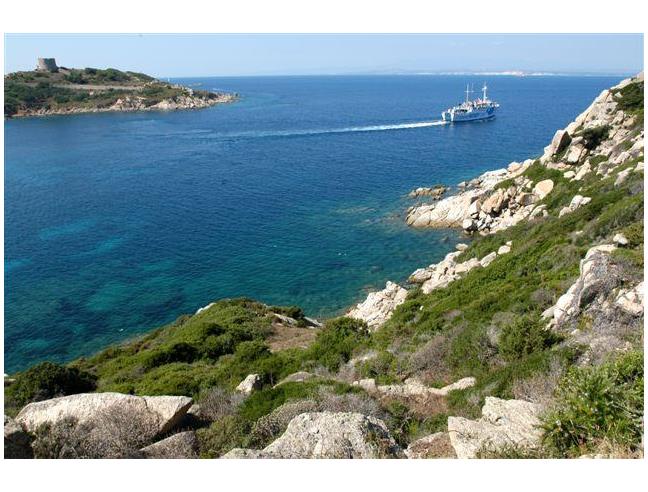 Anteprima foto 1 - Affitto Villa Vacanze da Privato a Santa Teresa Gallura (Sassari)