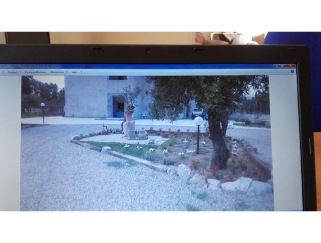 Anteprima foto 8 - Affitto Villa Vacanze da Privato a Sellia Marina (Catanzaro)