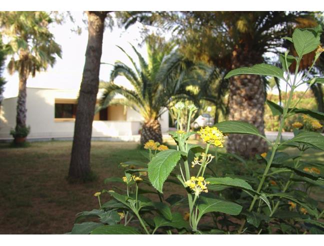 Anteprima foto 7 - Affitto Villa Vacanze da Privato a Siracusa - Capo Murro Di Porco