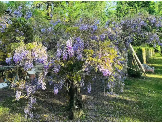 Anteprima foto 4 - Affitto Villa Vacanze da Privato a Sorano - San Giovanni