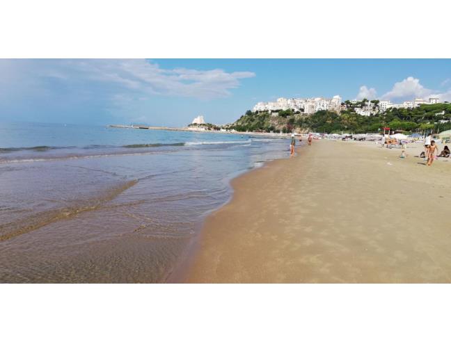 Anteprima foto 5 - Affitto Villa Vacanze da Privato a Sperlonga (Latina)