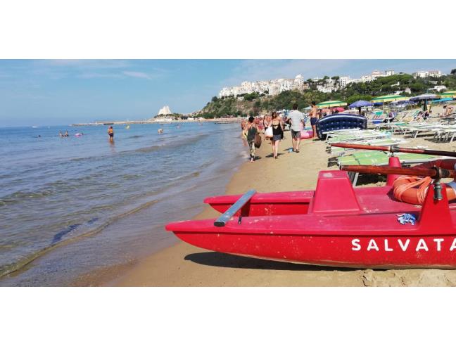 Anteprima foto 7 - Affitto Villa Vacanze da Privato a Sperlonga (Latina)