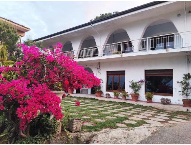Anteprima foto 1 - Affitto Villa Vacanze da Privato a Stalettì - Copanello