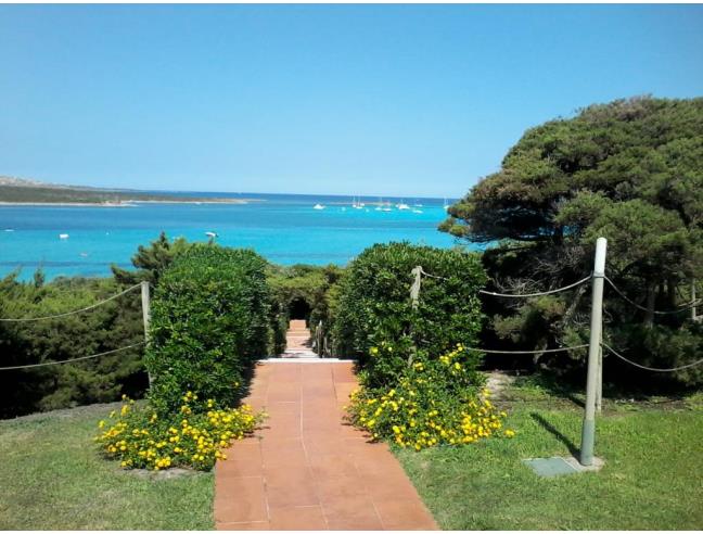 Anteprima foto 6 - Affitto Villa Vacanze da Privato a Stintino - La Pelosa