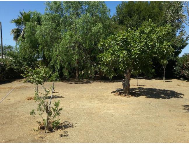 Anteprima foto 5 - Affitto Villa Vacanze da Privato a Taviano (Lecce)