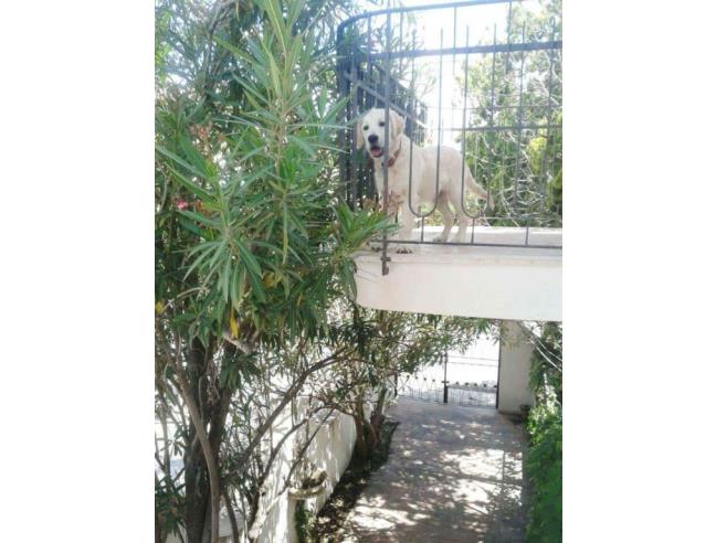 Anteprima foto 2 - Affitto Villa Vacanze da Privato a Terme Vigliatore (Messina)