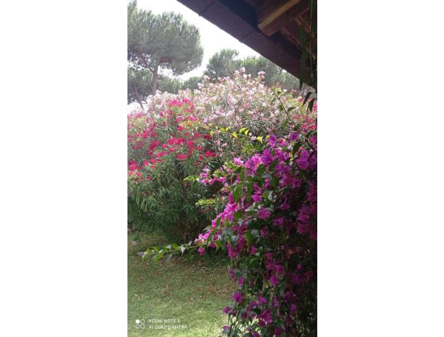 Anteprima foto 4 - Affitto Villa Vacanze da Privato a Terracina (Latina)