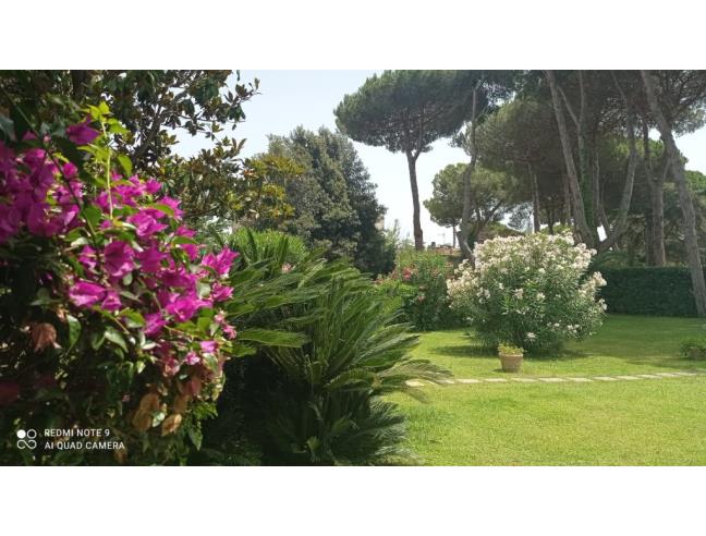 Anteprima foto 5 - Affitto Villa Vacanze da Privato a Terracina (Latina)