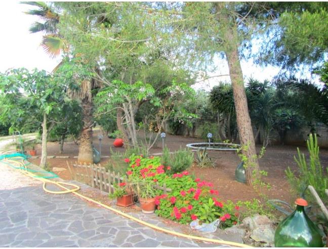 Anteprima foto 8 - Affitto Villa Vacanze da Privato a Ugento - Marina San Giovanni