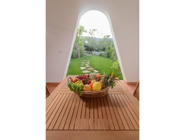 Anteprima foto 2 - Affitto Villa Vacanze da Privato a Vieste (Foggia)