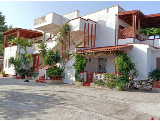 Anteprima foto 3 - Affitto Villa Vacanze da Privato a Vieste (Foggia)