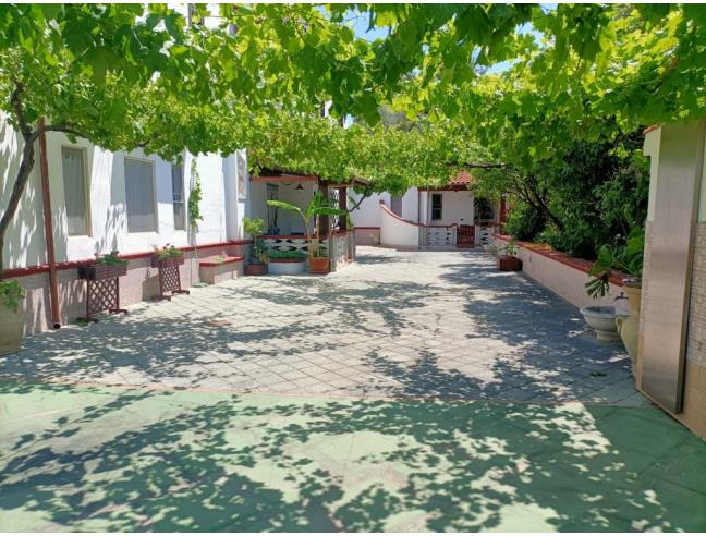 Anteprima foto 4 - Affitto Villa Vacanze da Privato a Vieste (Foggia)