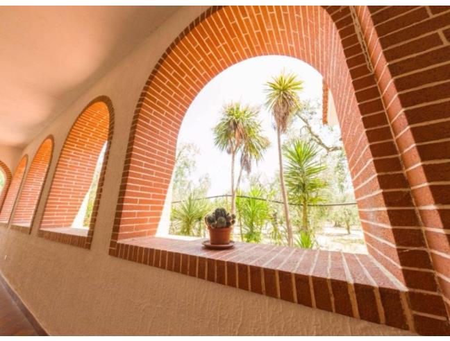 Anteprima foto 4 - Affitto Villa Vacanze da Privato a Vieste (Foggia)