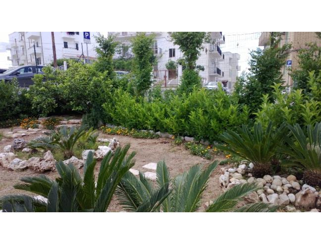 Anteprima foto 6 - Affitto Villa Vacanze da Privato a Vieste (Foggia)