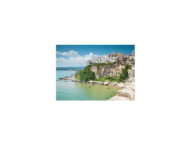 Anteprima foto 7 - Affitto Villa Vacanze da Privato a Vieste (Foggia)