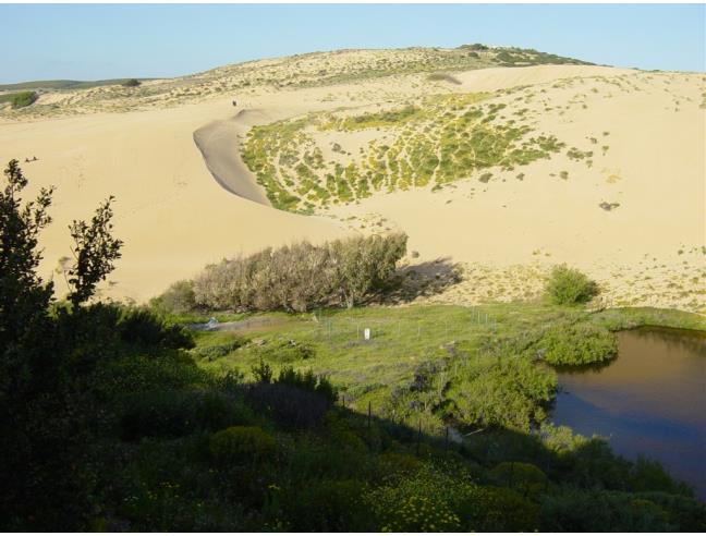 Anteprima foto 7 - Affitto Villetta a schiera Vacanze da Privato a Arbus - Torre Dei Corsari
