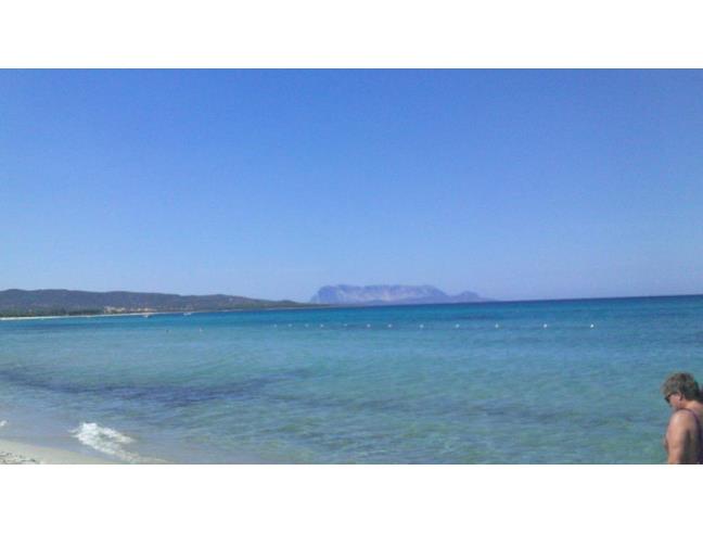 Anteprima foto 6 - Affitto Villetta a schiera Vacanze da Privato a Budoni - Muriscuvò