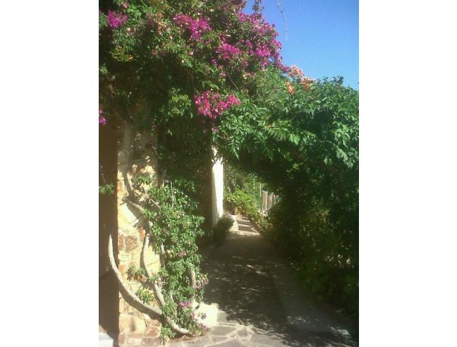 Anteprima foto 4 - Affitto Villetta a schiera Vacanze da Privato a Budoni (Sassari)