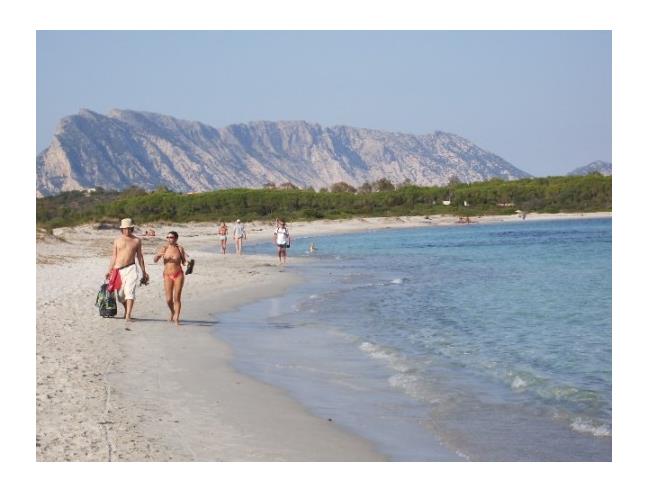 Anteprima foto 1 - Affitto Villetta a schiera Vacanze da Privato a Budoni - Tanaunella