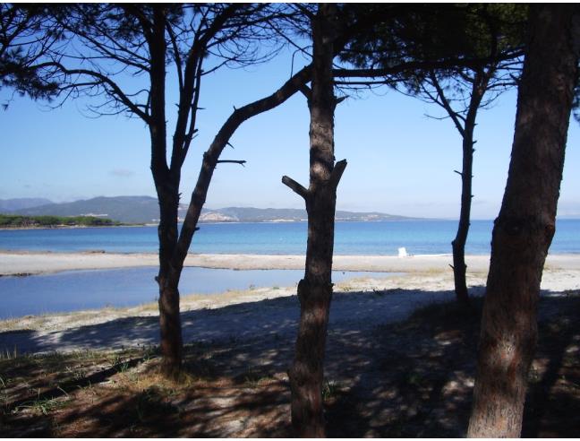 Anteprima foto 2 - Affitto Villetta a schiera Vacanze da Privato a Budoni - Tanaunella