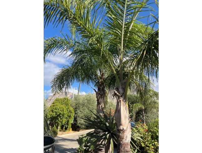 Anteprima foto 8 - Affitto Villetta a schiera Vacanze da Privato a Carini - Villa Grazia Di Carini