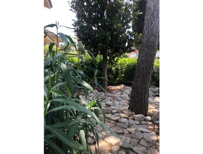 Anteprima foto 5 - Affitto Villetta a schiera Vacanze da Privato a Civitanova Marche (Macerata)