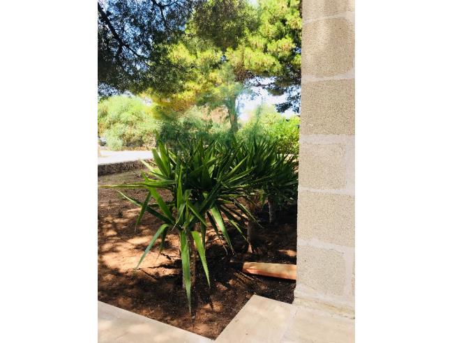 Anteprima foto 2 - Affitto Villetta a schiera Vacanze da Privato a Favignana (Trapani)