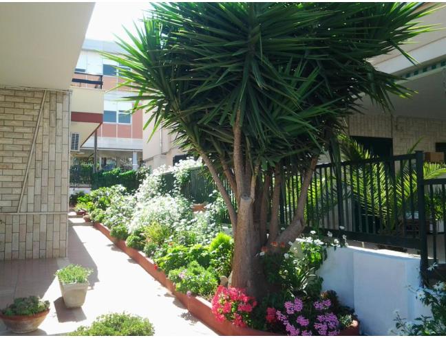 Anteprima foto 7 - Affitto Villetta a schiera Vacanze da Privato a Gallipoli (Lecce)