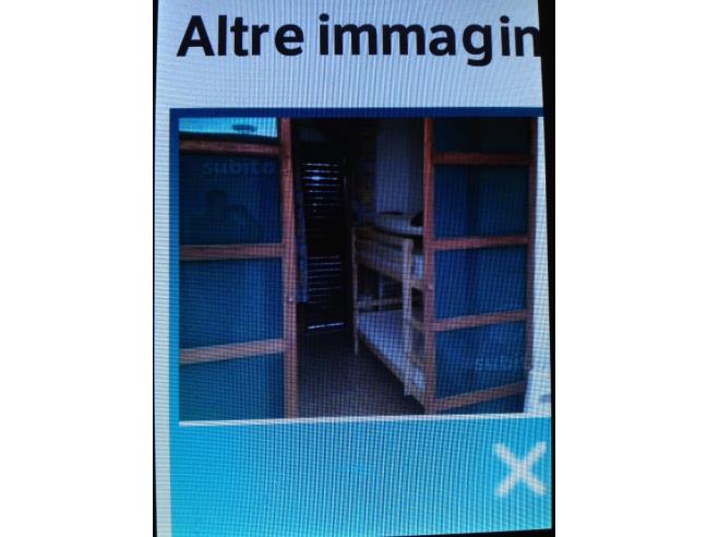 Anteprima foto 3 - Affitto Villetta a schiera Vacanze da Privato a Ladispoli (Roma)