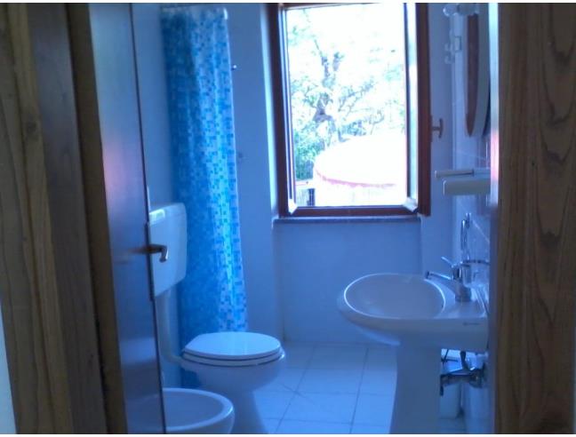 Anteprima foto 8 - Affitto Villetta a schiera Vacanze da Privato a Marciana - Pomonte