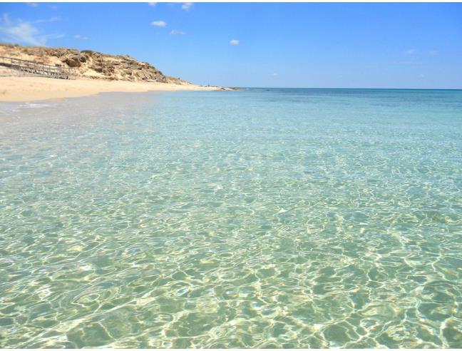 Anteprima foto 5 - Affitto Villetta a schiera Vacanze da Privato a Maruggio (Taranto)