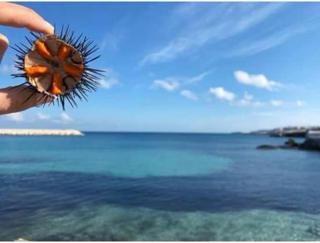 Anteprima foto 1 - Affitto Villetta a schiera Vacanze da Privato a Melendugno - San Foca