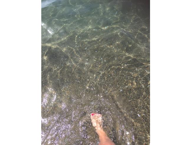 Anteprima foto 3 - Affitto Villetta a schiera Vacanze da Privato a Montalto di Castro - Pescia Romana