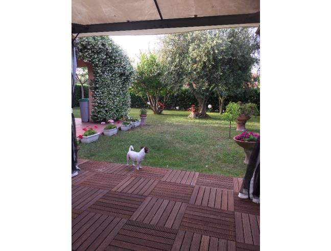 Anteprima foto 7 - Affitto Villetta a schiera Vacanze da Privato a Montalto di Castro - Pescia Romana