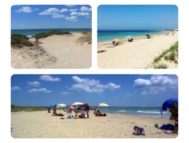 Anteprima foto 8 - Affitto Villetta a schiera Vacanze da Privato a Morciano di Leuca - Torre Vado