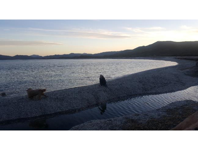 Anteprima foto 3 - Affitto Villetta a schiera Vacanze da Privato a Muravera (Sud Sardegna)