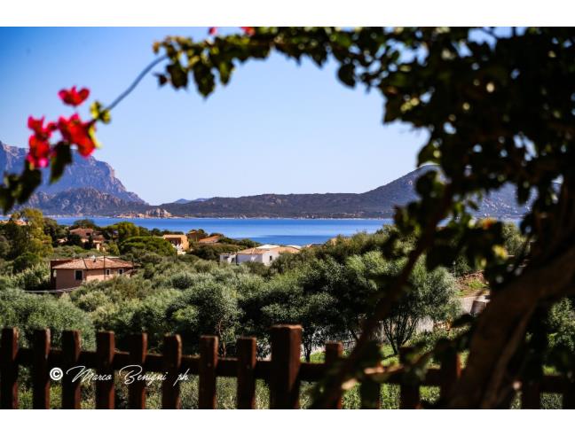Anteprima foto 3 - Affitto Villetta a schiera Vacanze da Privato a Olbia - Pittulongu
