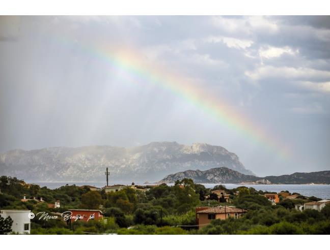 Anteprima foto 7 - Affitto Villetta a schiera Vacanze da Privato a Olbia - Pittulongu