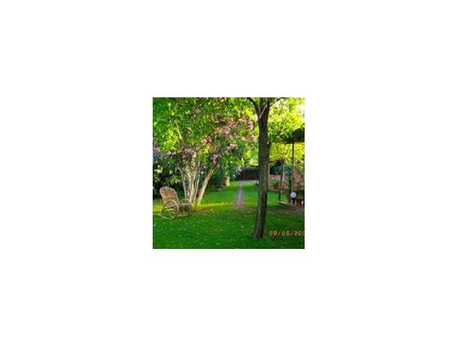 Anteprima foto 2 - Affitto Villetta a schiera Vacanze da Privato a Orbetello - Giannella